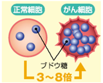癌細胞と正常細胞の違い
